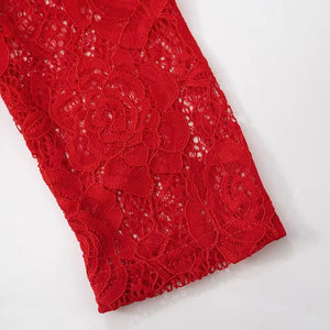 Sheer Lace Maxi Dress view 5 | MAUVSTUDIO®