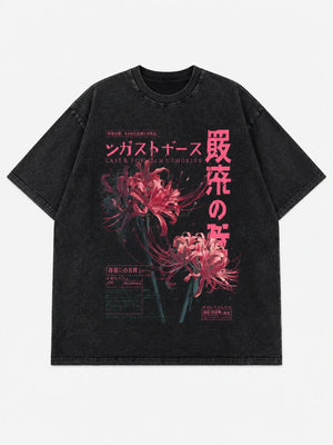 Y2K Japanese Graphic Tee with printed graphic, Y2K graphic tee styled with low rise bottoms