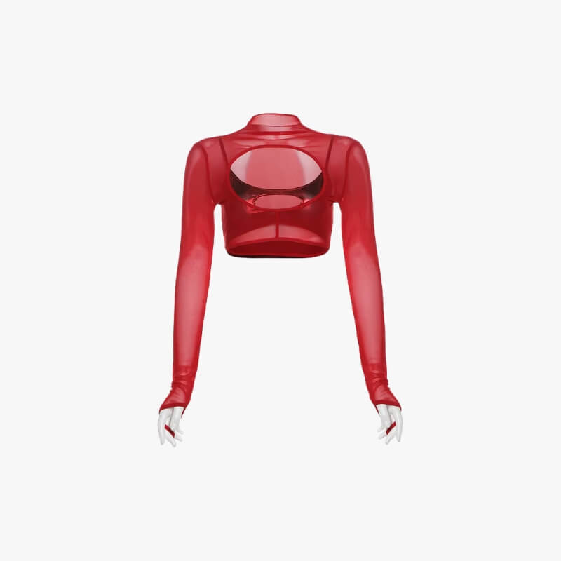 Cut-Out Sheer Mesh Crop Top – MAUVSTUDIO®