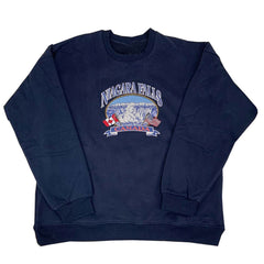 Niagara Falls Embroidery Sweatshirt-Hoodies-MAUV STUDIO-STREETWEAR-Y2K-CLOTHING