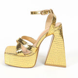 Y2K Platform Chunky Heel Ankle Strap Sandals
