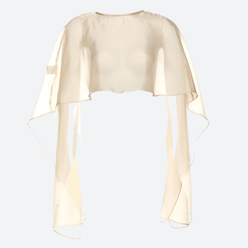 Sheer Backless Crop Top – MAUVSTUDIO®