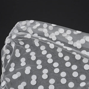 Y2K Polka Dot Mesh Tulle & Top with sheer mesh, Y2K halter top styled with low rise bottoms
